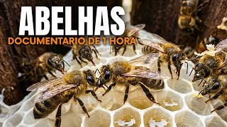 Guerra das Abelhas Gigantes