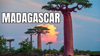 Madagascar: Paraíso Selvagem