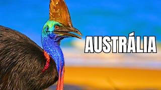 Austrália Selvagem
