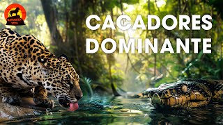 Segredos da Amazônia