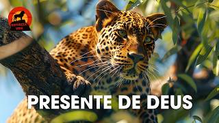 Mata Atlântica: Caçadores Invisíveis