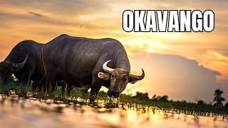 Delta do Okavango