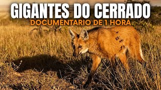 Gigantes Letais do Cerrado