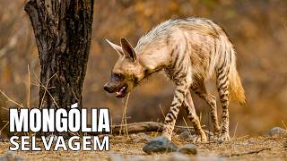 Mongólia Selvagem