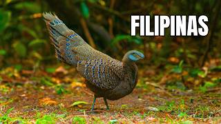 Arquipélago Selvagem