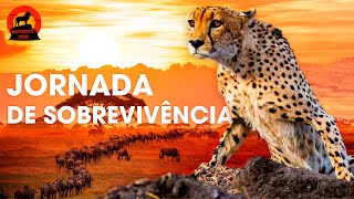 Savana Africana