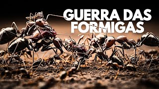 Guerra das Formigas