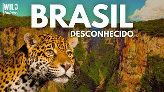 Brasil Inédito