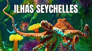 Ilhas Seychelles