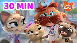 44 Gatos: Doctores