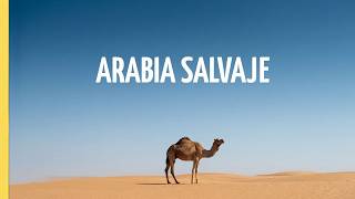 Arabia al descubierto