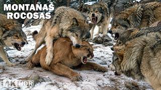 Montañas Rocosas Salvajes
