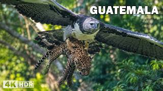 El Paraíso Oculto