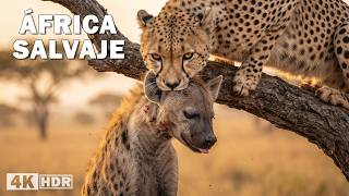 África Salvaje: Depredadores del Desierto