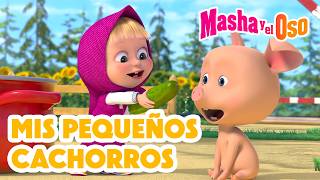 Mis Pequeños Cachorros