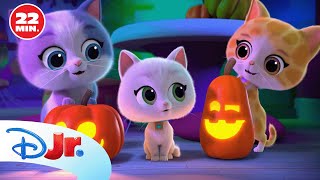 SuperKitties: Gatora Howloween