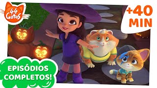 44 Gatos: Maratón de Halloween