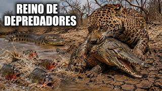 Colombia Salvaje: Reino de Depredadores