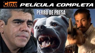 Perro de Presa