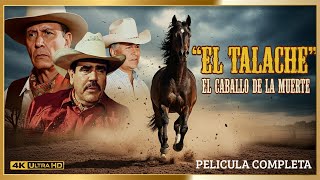 El Talache