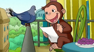 Curioso Come George: Hotel per piccioni