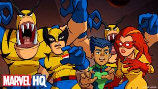 Super Hero Squad: Troppi Wolverine