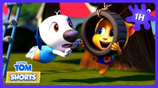 Talking Tom: Hank no Balanço