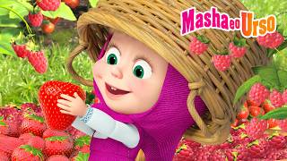 Masha e o Urso: Dia de Framboesa