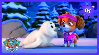 Patrulha Canina: Urso Polar