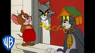 Tom & Jerry: Reis da Travessura
