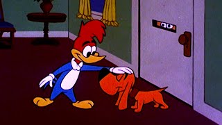Pica-Pau: Clássicos Vol. 35