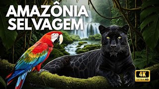 Amazônia Selvagem: Biodiversidade