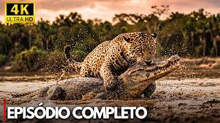 PANTANAL: Onças vs Monstros