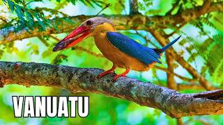 VANUATU: Vulcões