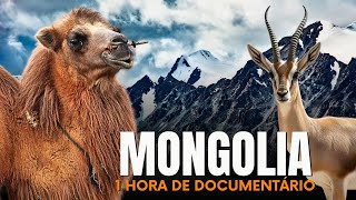 Sobrevivência na Mongólia