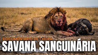 Savana: Luta pela Água