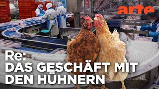 Ein Dorf und 1 Million Hühner