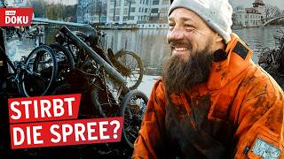 Spree in Not