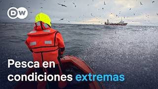Pesca en el Ártico