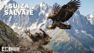 Suiza salvaje