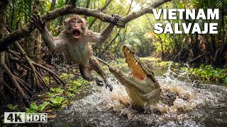 Vietnam Salvaje: Supervivencia