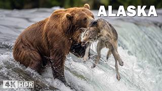 Explorando Alaska