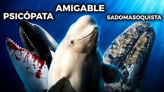 Ballenas Terroríficas