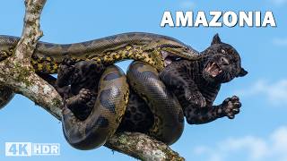 Amazonia salvaje