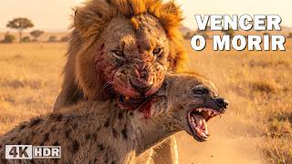Supervivencia en África
