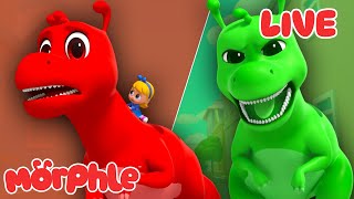 Morphle: Livestream