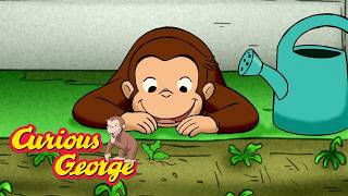 Curious George: Carrot Garden