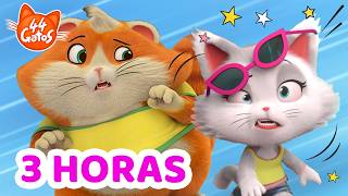 44 Gatos: Sábado