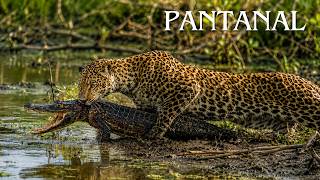 Pantanal Salvaje