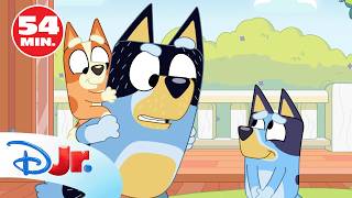 Bluey: Cortos